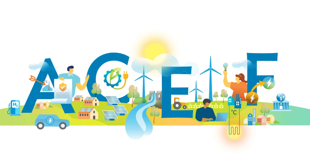 Webinar on Learning from ACEF held at Manila, Philippines
